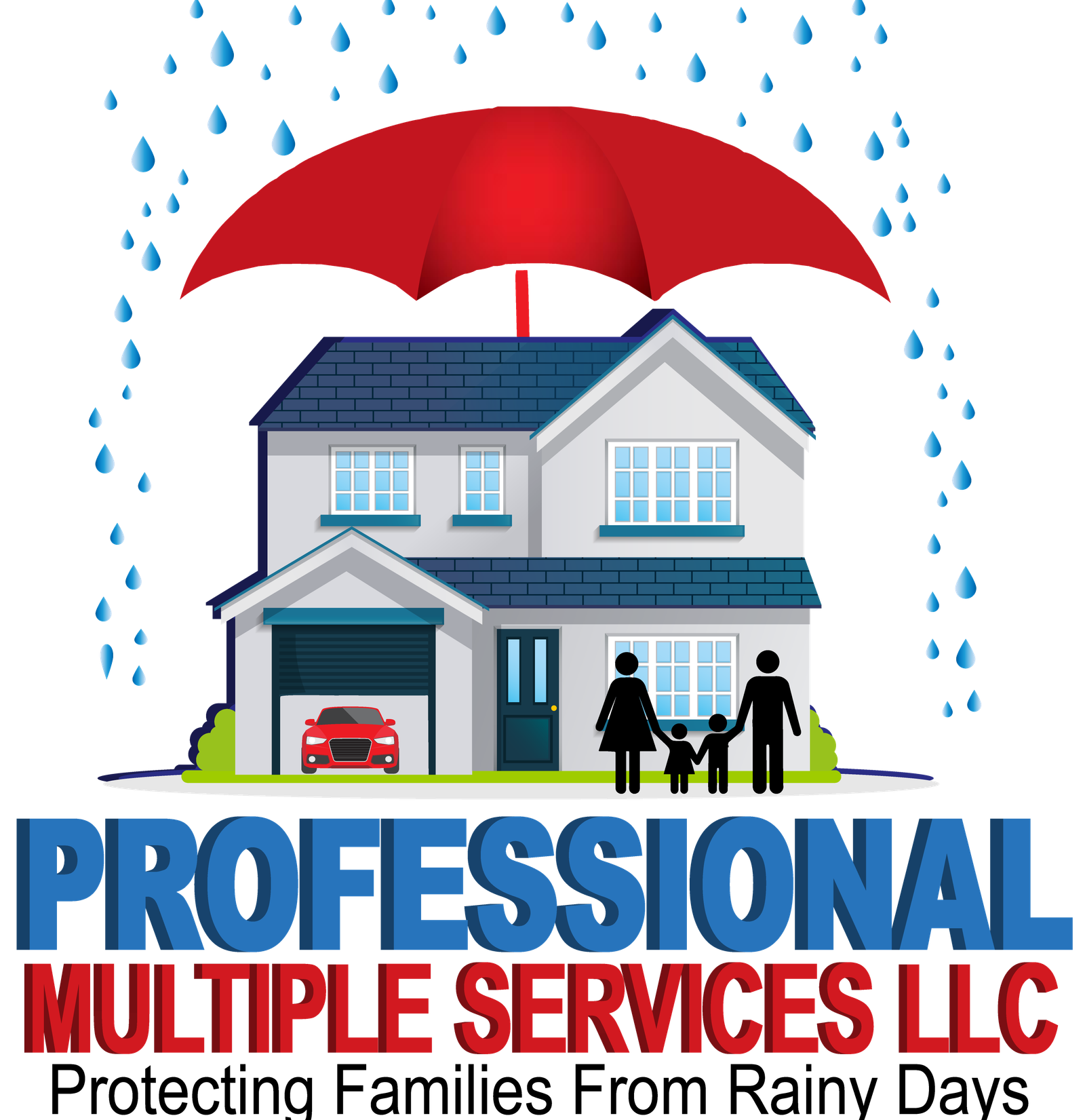 PROFESSIONAL MULTIPLE SERVICES